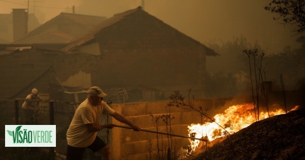 Incendies : Câmara de Leiria estime à 8,7 ME les pertes forestières et agricoles
